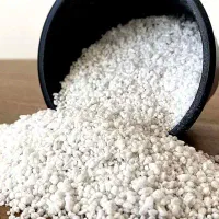 پرلیت درجه یک|خدمات باغبانی و درختکاری|رضوانشهر, |دیوار