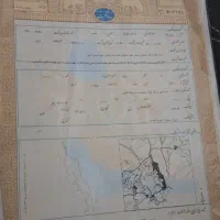 باغ-با-سند-تک-برگ