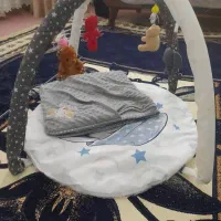 روروعک وگهواره وتوشک بازی|اسباب و اثاث بچه|مشگین شهر, |دیوار