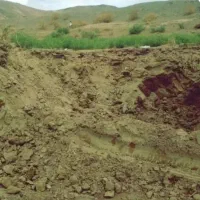 خاک باغچه100٪ضمانتی گوربندماسه بادی .مل. کودگاوی