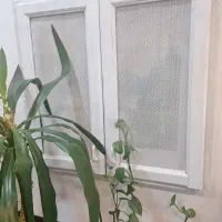 پنجره مجازی شیک چوب نرات