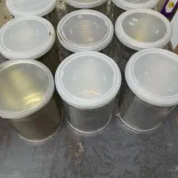 قوطی دردار ، ابعاد ۱۱ × ۸