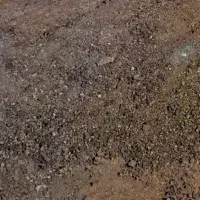 زمین-مسکن-ملی-هندیجان