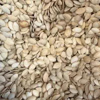 تخمه کدو گوشتی ممتاز ایرانی تف سنتی