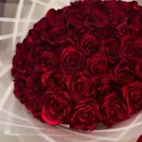 تخفیف ویژه گل روبانی به مناسبت یلدا|گل مصنوعی|تبریز, |دیوار