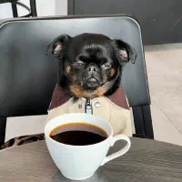 راهنمایی دوران بعد از طلاق وجدایی