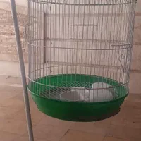 قفس پایه دار پرنده|لوازم جانبی حیوانات|تهران, حکیمیه|دیوار