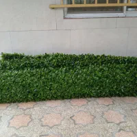 فنس چمنی|مصالح و تجهیزات ساختمان|رشت, پل تالشان|دیوار