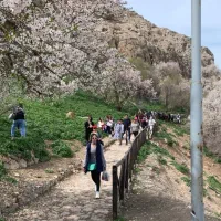 ویژه کریسمس ۷ دی تور گروهی وان ترکیه|تور و چارتر|تهران, فلسطین (میدان انقلاب)|دیوار