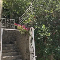 پلور خانه باغ ۵۰۰ متری سنددار دو نبش|فروش خانه و ویلا|رینه, |دیوار