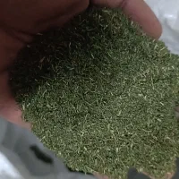 ۲ نفر نیروی کار آقا بهمراه مسکن