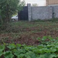 زمین-185-متری-با-پروانه-نخجیر