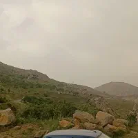 پراید132|خودرو سواری و وانت|دورود, |دیوار