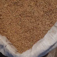 چلتوک لنجان