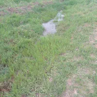 فروش ۱ و نیم هکتار آبی|فروش دفتر صنعتی، کشاورزی، تجاری|اسلام‌‌آباد غرب, |دیوار