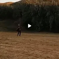 پاراگلادرsupAiRوهارنسArizo2مدل2017کم کار|تجهیزات ورزشی|ماهدشت, |دیوار