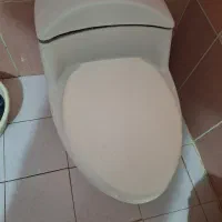 فروش سنگ فرنگی