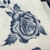 اموزش تاتو بدن و کوتاهی مو|خدمات آموزشی|رشت, گلسار|دیوار