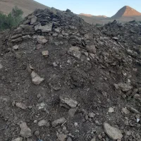 کود گوسفندی پوسیده|خدمات باغبانی و درختکاری|کمیجان, |دیوار