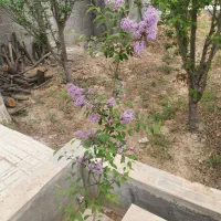 نیازمند-سرمایه-گذاری-در-ساخت-و-ساز