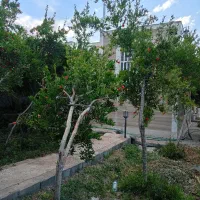 خانه-باغ-تفت750متری