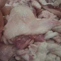 دنبه وشله تازه