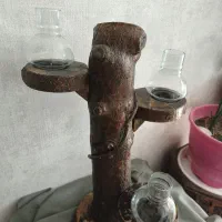 جاشمعی چوبی تنه درخت