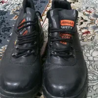 پوتین ایمنی