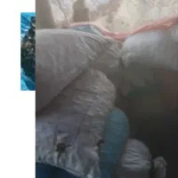 بلوط|عمدهفروشی|یاسوج, |دیوار