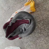 کریرباپشه بند