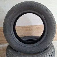 تایرساینا درحدنو