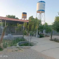 باغشهری ۲۸۰۰ متر سیاخ دارنگون باسند ملکی|فروش زمین و ملک کلنگی|سیاخ دارنگون, |دیوار