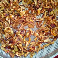 فروش میوه خشک