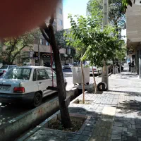 ۱۷ متر    ۶متر   بَر    ۳ متر   بالکن   مرتضوی