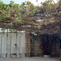 اجاره خانه ویلایی دوخواب روستای راک|اجارهٔ خانه و ویلا|سوق, |دیوار