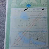 زمین مسکونی نخلستان ۵۱۲ متر