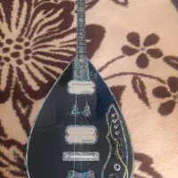 باغلاما برقی چاکر