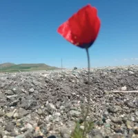 خط دهگلان سنندج