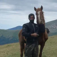 اسب کرد باری و سواری|اسب و تجهیزات اسب‌سواری|رحیم‌آباد, |دیوار