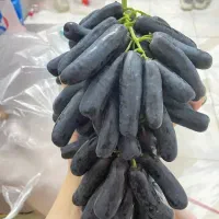 رقم تجاری بازار پسند مناسب برای همه مناطق
