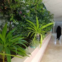 مجتمع فرهنگی آموزشی حضرت زینب سلام الله علیها|خدمات آموزشی|نجفآباد, ویلاشهر|دیوار