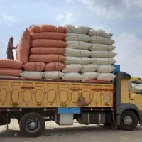 دیم سفید بدون گرد و خاک