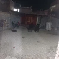 خانه-ویلایی-محمودآباد