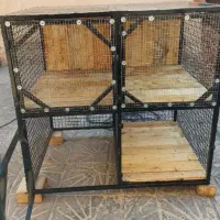 ساخت قفس پرنده|لوازم جانبی حیوانات|بم, |دیوار