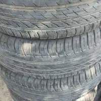 لاستیک|قطعات یدکی و لوازم جانبی|شیراز, ریشمک|دیوار