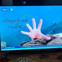 تلویزیون ۴۳ مدیا استار|تلویزیون و پروژکتور|خان ببین, |دیوار