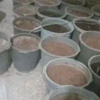 گلدان