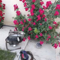 لولــه بازکنیـ طرشت استامعیـن ستارخان صادقـیه طـوس