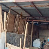 فروش دامداری|فروش خانه و ویلا|کویرات, |دیوار