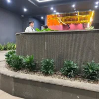 انواع سنگ نما و آتشکده مدروز